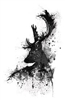 _Highlander_'s avatar