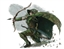 HiddenRecluse03's avatar