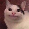 MarkGM's avatar