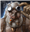 Seppy's avatar