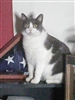 kartajan's avatar