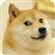 Dogeminer2's avatar
