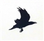 AgentNoun's avatar
