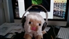 Noonecanguessmyusername's avatar
