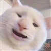 Stripedblur's avatar