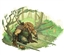 Smart_TJ's avatar