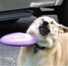 person546's avatar
