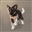 Blink_Dog51's avatar