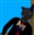 Jojo_Paku's avatar