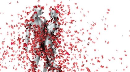 Way Of The Fallen Petals Image