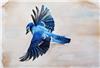NewBlood3275's avatar