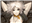 Dayonz's avatar