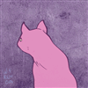 theoavi's avatar