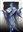 Cirrus_of_the_Unseen_Hights's avatar