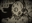 SkellyJelly's avatar