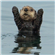 RastaMoses's avatar