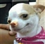 FerrousBueller's avatar