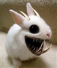 Lurchmull's avatar