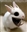 Lurchmull's avatar