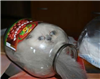 TheTimeSquid's avatar