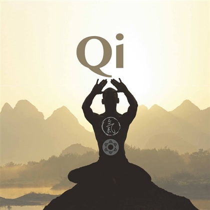 Way Of Qi Image