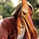 Presidactyl's avatar