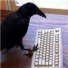 crowcawing's avatar