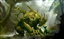 Lunarsand's avatar