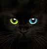 SorchaFiresoul's avatar