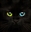 SorchaFiresoul's avatar