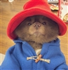 williamdumont_'s avatar