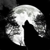 LycanAU's avatar