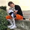 Masshalogear's avatar