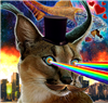 RocketLawnChair's avatar