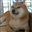 daddy_dex's avatar