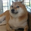 daddy_dex's avatar