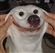 yourlocaldndnerd's avatar