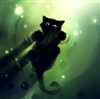 zBlackCatz's avatar