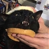 BoxfishJLA's avatar