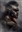 Uhtred_Blackfang's avatar