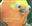 Mr_Pr3s1d3nt's avatar