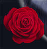 Arumata's avatar