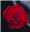 Arumata's avatar