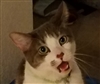 TarinDresden's avatar