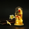 Annghelofnight's avatar