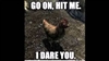 Captain_Fallout's avatar