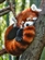 Medrash_Turnuroth's avatar