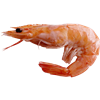 ShrimpWarLord's avatar