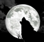 PhantamaroK's avatar