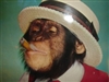mu_mike's avatar